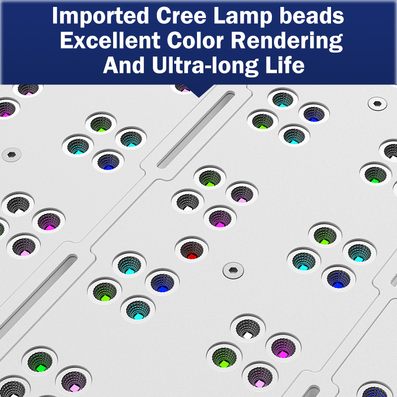 Marine Aquarium & Regional Centre - Lampada LED KASSRAY T169/T215 CREE a