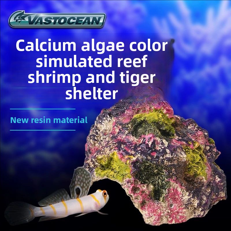 Marine Aquarium Hermit Crab - VASTOCEAN Acquario di Acqua Salata Grotta-Reef