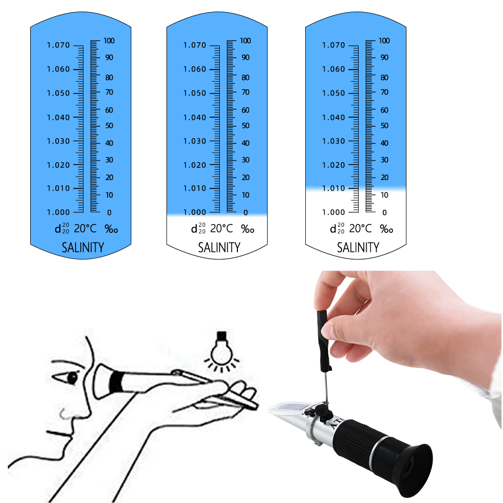 Rifrattometro di salinità port - Refractometer Salinity recensione e prezzo