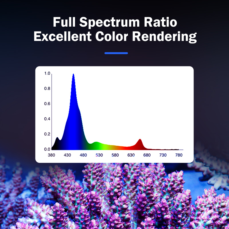 Lampada LED KASSRAY T169/T215  - Marine Aquarium & Regional Centre recensione e prezzo