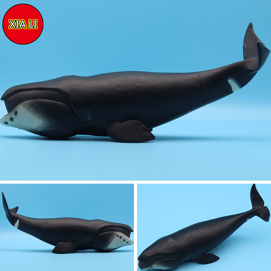 Modellini di Animali Marini: O - Marine Life Aquariums recensione e prezzo