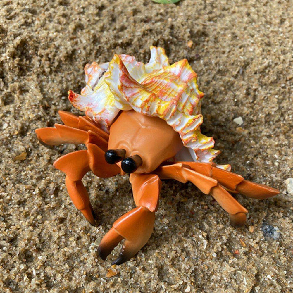 Decorazione Realistica di Gran - Marine Aquarium Hermit Crab recensione e prezzo