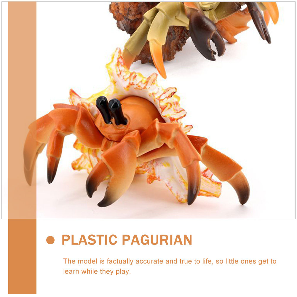 Decorazione Realistica di Gran - Marine Aquarium Hermit Crab recensione e prezzo