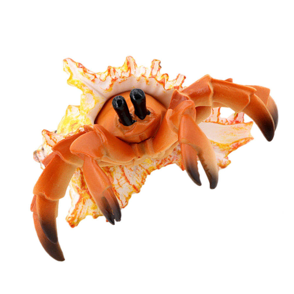 Decorazione Realistica di Gran - Marine Aquarium Hermit Crab recensione e prezzo