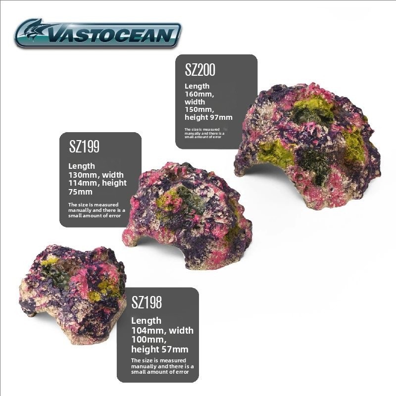VASTOCEAN Acquario di Acqua Sa - Marine Aquarium Hermit Crab recensione e prezzo