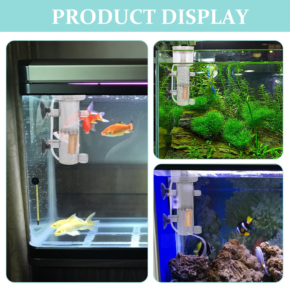 Skimmer di Proteine Interno Mi - Marine Aquarium & Regional Centre recensione e prezzo