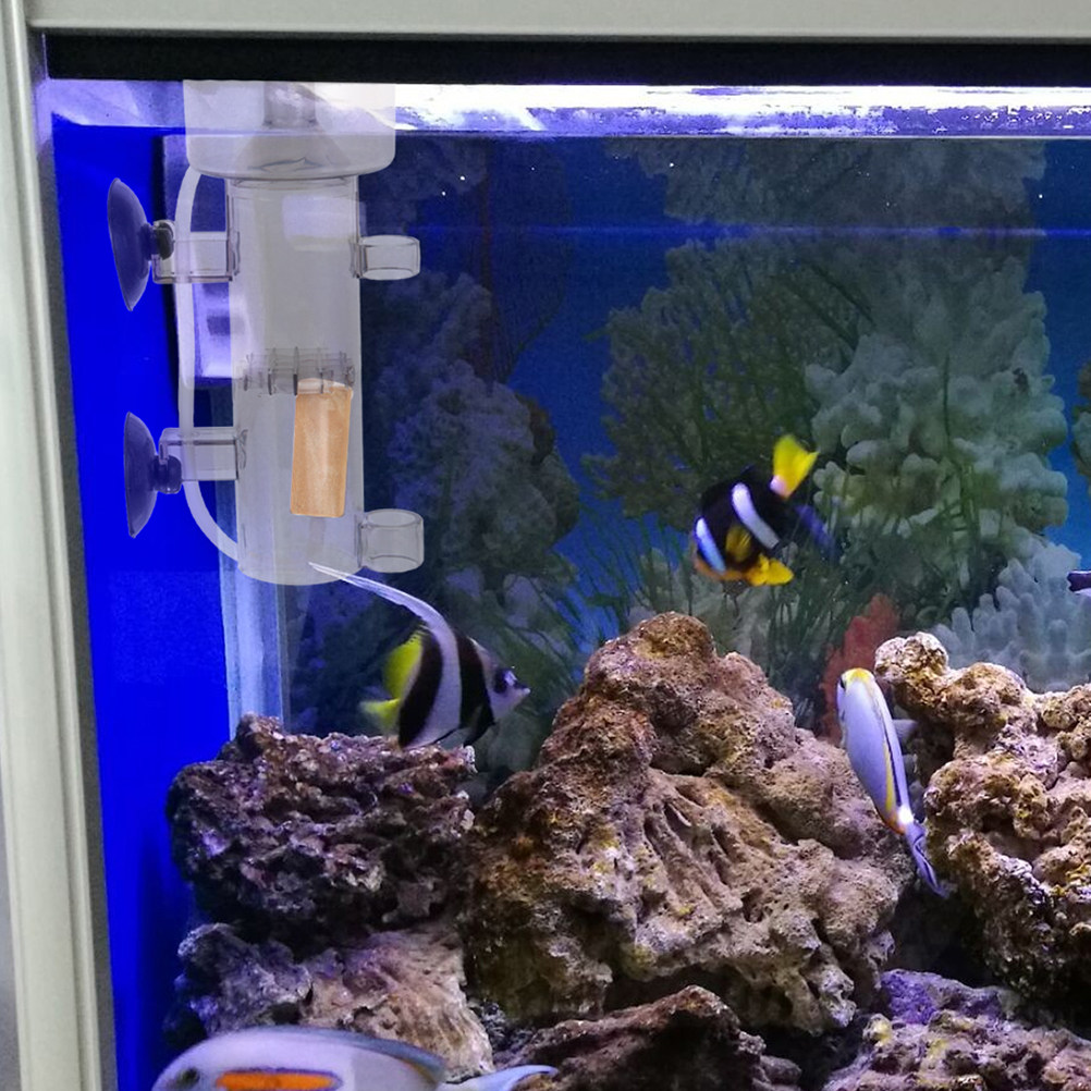 Skimmer di Proteine Interno Mi - Marine Aquarium & Regional Centre recensione e prezzo
