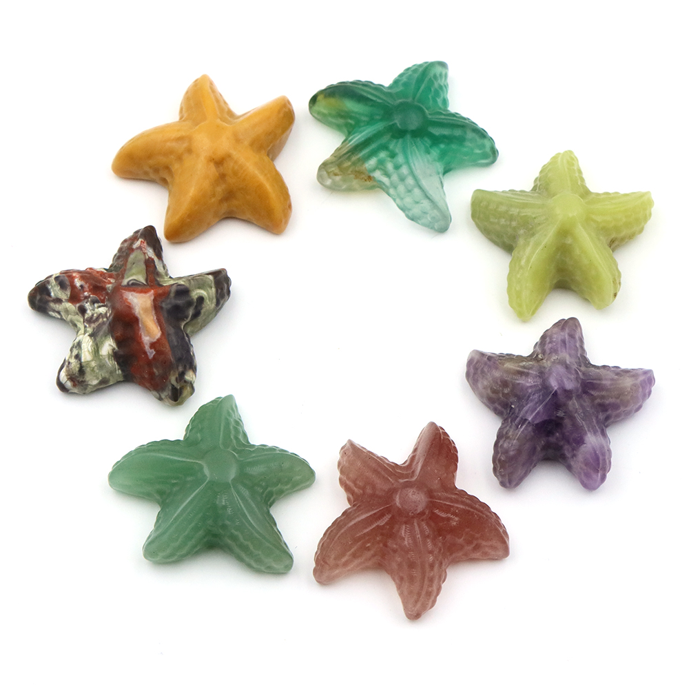 35mm Statua a forma di stella  - Marine Aquarium & Regional Centre recensione e prezzo