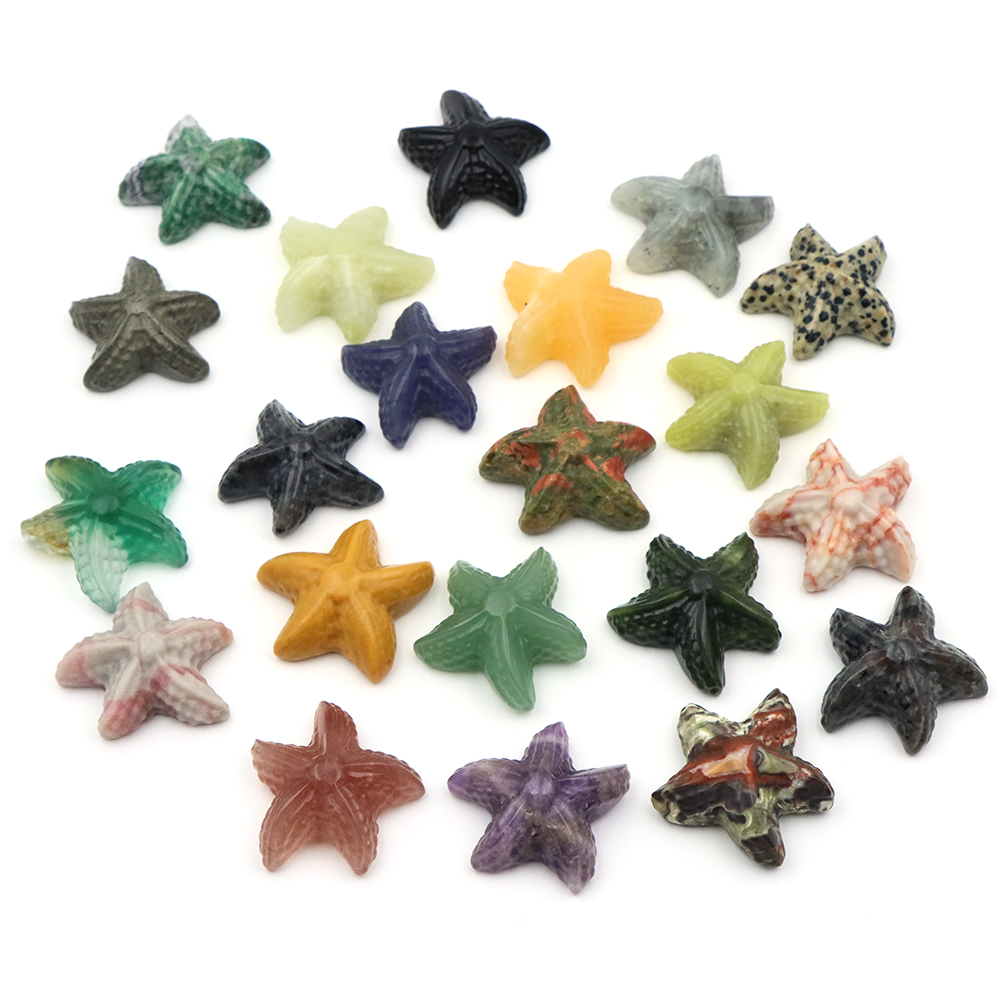 35mm Statua a forma di stella  - Marine Aquarium & Regional Centre recensione e prezzo