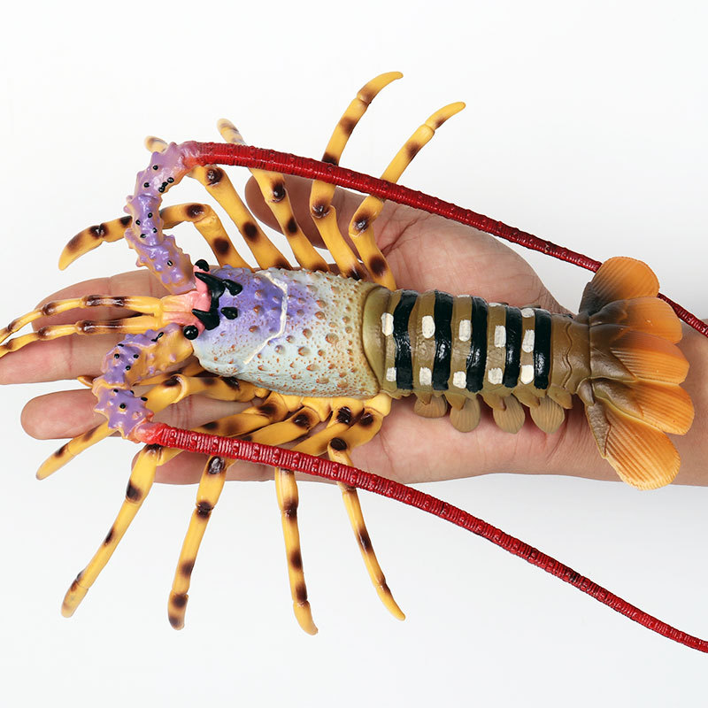 Statuette Realistiche di Anima - Marine Aquarium Hermit Crab recensione e prezzo